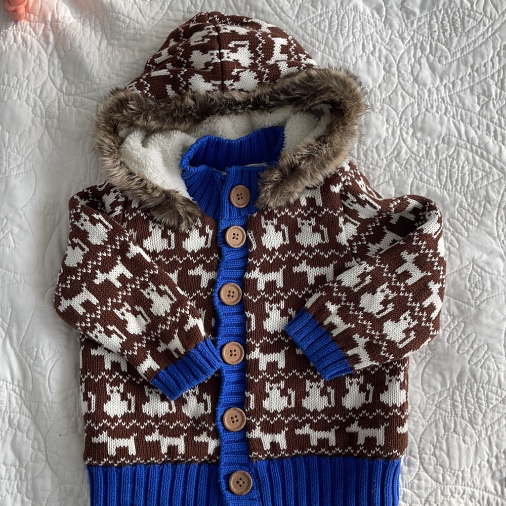 Hanna Andersson Sweater.